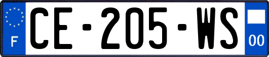 CE-205-WS