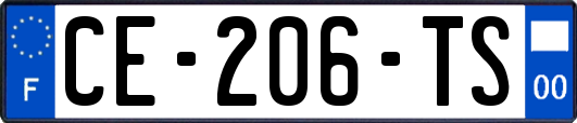 CE-206-TS