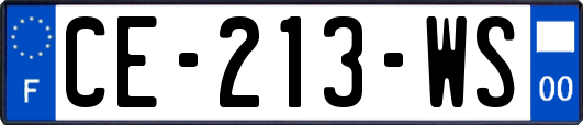 CE-213-WS