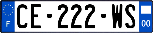 CE-222-WS