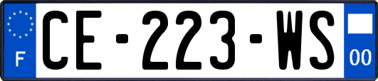 CE-223-WS