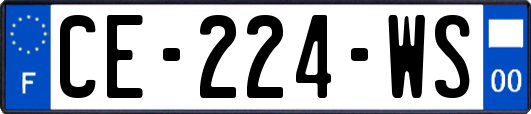 CE-224-WS
