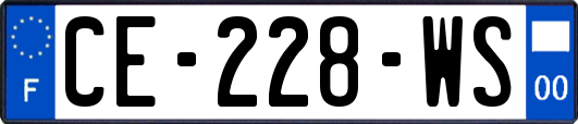 CE-228-WS