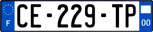 CE-229-TP