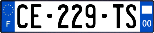 CE-229-TS