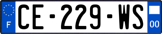 CE-229-WS