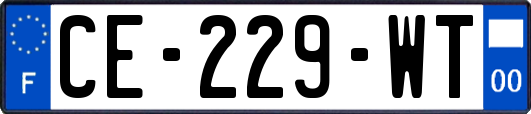 CE-229-WT