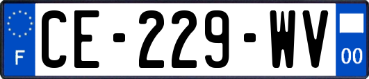 CE-229-WV