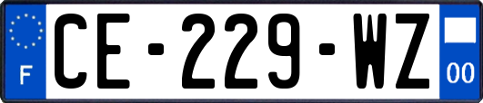 CE-229-WZ