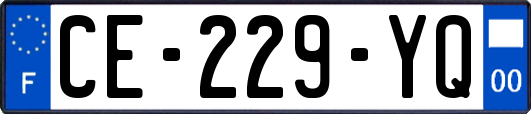 CE-229-YQ
