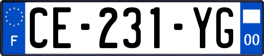 CE-231-YG