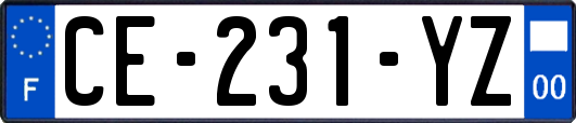 CE-231-YZ