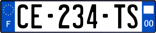 CE-234-TS