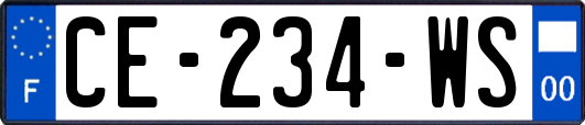 CE-234-WS