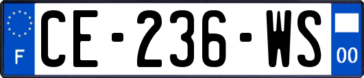 CE-236-WS