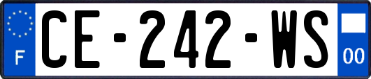 CE-242-WS