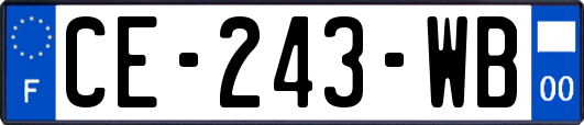 CE-243-WB