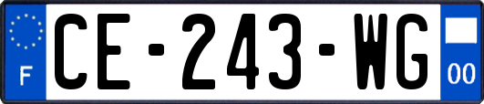 CE-243-WG