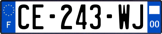 CE-243-WJ