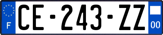 CE-243-ZZ