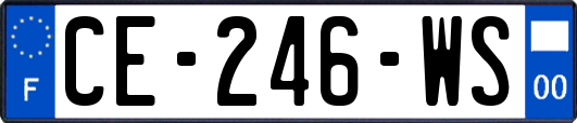 CE-246-WS