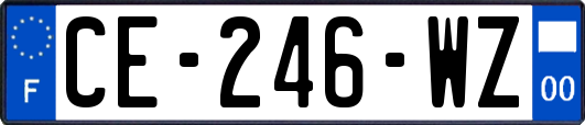 CE-246-WZ