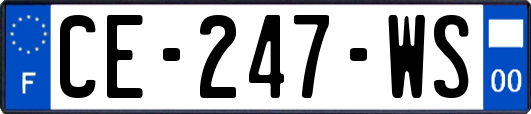 CE-247-WS