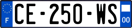 CE-250-WS