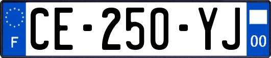 CE-250-YJ