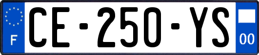 CE-250-YS