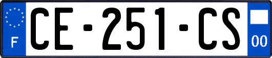 CE-251-CS