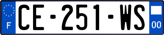 CE-251-WS