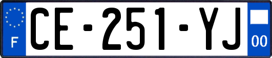 CE-251-YJ