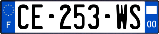 CE-253-WS