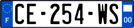 CE-254-WS