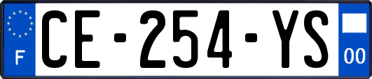 CE-254-YS