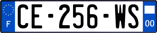 CE-256-WS
