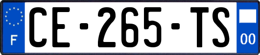 CE-265-TS