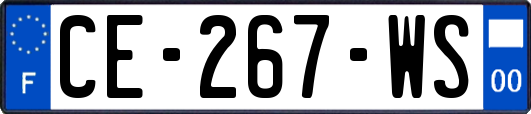 CE-267-WS