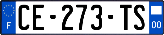 CE-273-TS