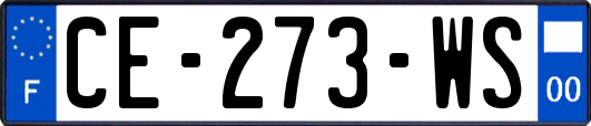 CE-273-WS