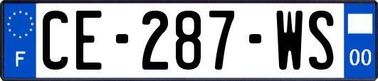 CE-287-WS