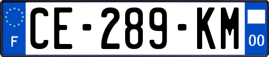 CE-289-KM