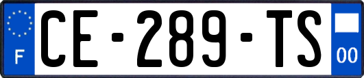 CE-289-TS