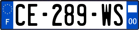 CE-289-WS