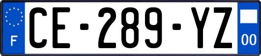 CE-289-YZ