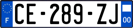 CE-289-ZJ