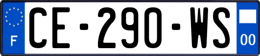 CE-290-WS