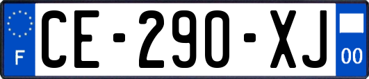 CE-290-XJ