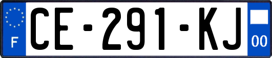 CE-291-KJ